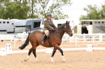 SBM_01555