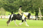 SBM_75003