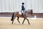 SBM_000684
