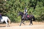 WJ6_8155
