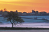 z1327 Brading Marshes