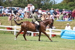 3E7A9487