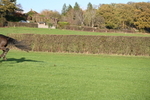 WJ6_3305