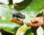 20110814-IMG_6243