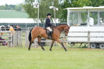 SBM_15799