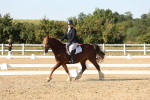 SBM_007047