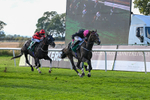 140926-Race 6-Fractional-7680