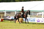 SBM_11925