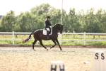 SBM_002911