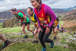 Stybarrow Dodd-441