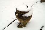 Snow - 02