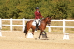 SBM_018644