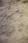 SBM_008856