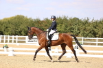 SBM_015058