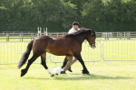 SBM_02063