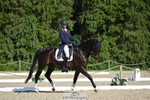 258-DHI_KING_NELSON-Barnie_Brotherton-WEDTrotUp+DR portfolio