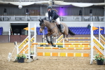 Class 2 - Nupafeed Supplements Senior Discovery/ 1m Open portfolio