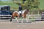 BPP_8639