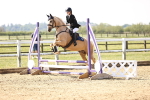 SBM_000937