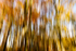 In Camera Movement 1