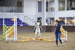 SBM_003173