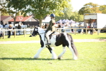 SBM_39037