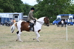 WJ7_4882