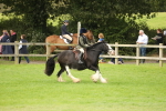 SBM_71691