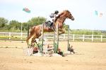 SBM_004376