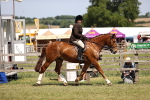 SBM_17693