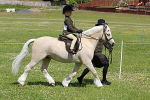 SIAL7854