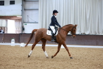 SBM_002827