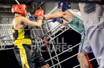 Boxing_Guernsey v Manchester-137