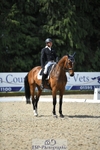 312-J'ADORE_SALSA-Michael_Owen-WEDTrotUp+DR portfolio