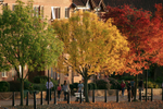 Bristol Hotwells in autumn, Bristol_ 0125