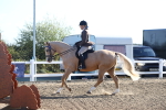 SBM_08583