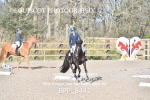 BPP_8442