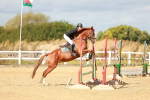 SBM_000979