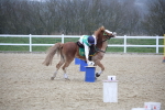 SBM_004416