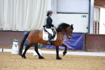 SBM_002599
