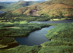 A00539D Achray Forest and Loch Drunkie