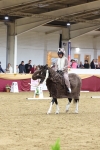 SBM_09599
