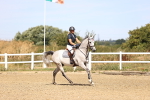 SBM_000493