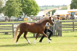 SBM_00675
