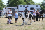 WJ6_8931