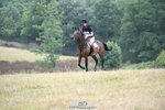 M-574-William.Fox-Pitt-JABBEKA portfolio
