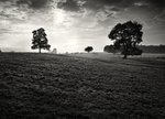 Sunrise Farnley