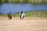 WJ6_8401