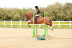 SBM_005679