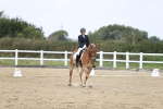 SBM_016776